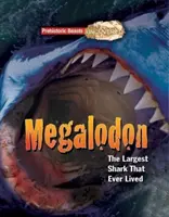 Megaladon - Prehistoric Beasts Uncovered - Le plus grand requin qui ait jamais vécu - Megaladon - Prehistoric Beasts Uncovered - The Largest Shark That Ever Lived