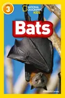 Chauves-souris - Niveau 3 - Bats - Level 3