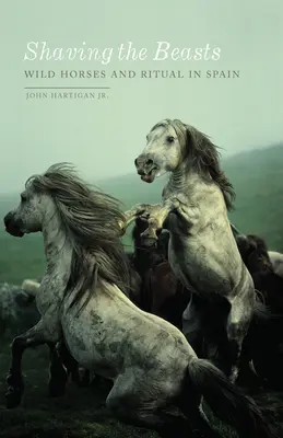 Raser les bêtes : Chevaux sauvages et rituel en Espagne - Shaving the Beasts: Wild Horses and Ritual in Spain