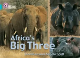 Les trois grands d'Afrique - Africa's Big Three