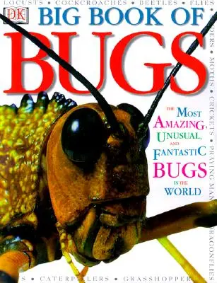 Le grand livre des insectes - Big Book of Bugs