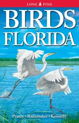 Les oiseaux de Floride - Birds of Florida