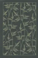 Le coffret des sœurs Bront : Jane Eyre ; Les Hauts de Hurlevent ; Le locataire de Wildfell Hall ; Villette - The Bront Sisters Boxed Set: Jane Eyre; Wuthering Heights; The Tenant of Wildfell Hall; Villette