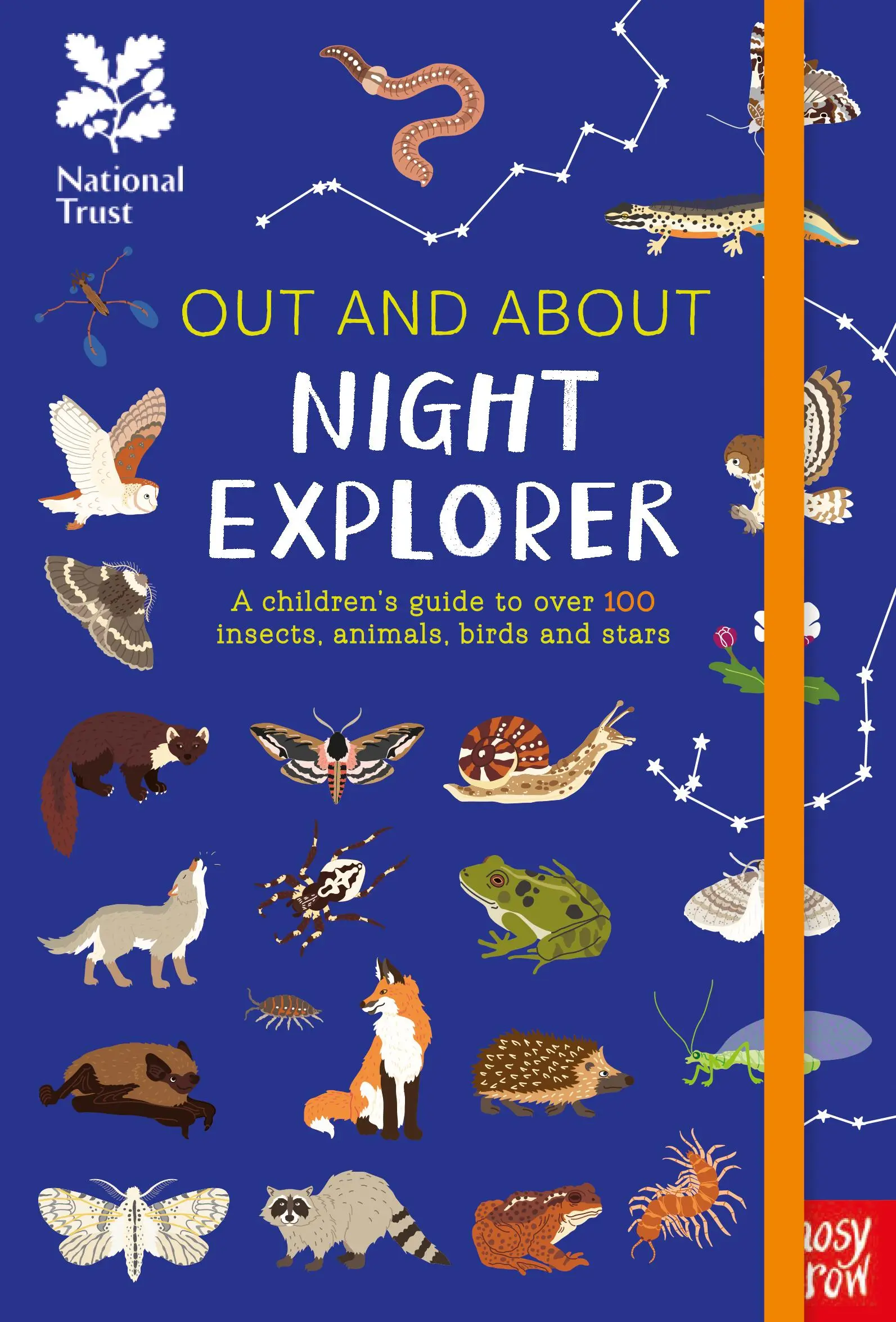 National Trust : Out and About Night Explorer - Un guide pour enfants sur plus de 100 insectes, animaux, oiseaux et étoiles. - National Trust: Out and About Night Explorer - A children's guide to over 100 insects, animals, birds and stars