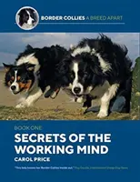 Les secrets de l'esprit de travail - Secrets Of The Working Mind