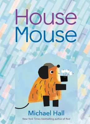 Souris de la maison - House Mouse