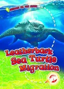 Migration de la tortue luth - Leatherback Sea Turtle Migration