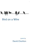 Un oiseau sur un fil - Bird on a Wire