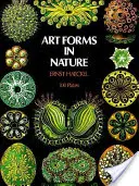 Formes d'art dans la nature - Art Forms in Nature