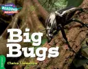 Les grosses bestioles Bande verte - Big Bugs Green Band