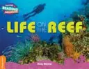 La vie sur le récif Bandeau orange - Life on the Reef Orange Band