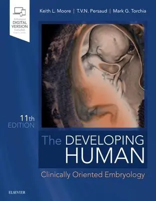 Le développement humain - Embryologie à orientation clinique - Developing Human - Clinically Oriented Embryology