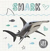 Cycle de vie d'un requin - Life Cycle of a Shark