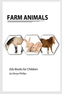 Animaux de la ferme : Livre Montessori sur les animaux de la ferme, des éléments d'intelligence pour les bébés et les jeunes enfants, livre pour enfants, ressources d'apprentissage. - Farm Animals: Montessori real Farm Animals book, bits of intelligence for baby and toddler, children's book, learning resources