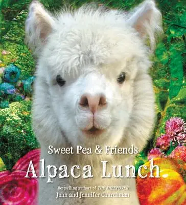 Le déjeuner des alpagas - Alpaca Lunch