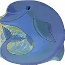 Dauphin de poche - Pocket Dolphin