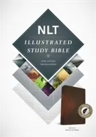 Bible d'étude illustrée-NLT - Illustrated Study Bible-NLT