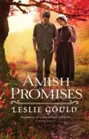Les promesses de l'Amish - Amish Promises