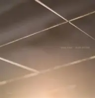 Mona Kuhn : Elle a disparu dans un silence total - Mona Kuhn: She Disappeared Into Complete Silence