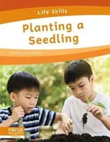 Planter une graine - Planting a Seedling