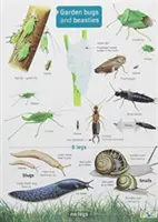 Insectes et bestioles du jardin - Garden Bugs and Beasties