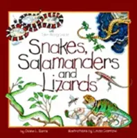 Serpents, salamandres et lézards - Snakes, Salamanders & Lizards