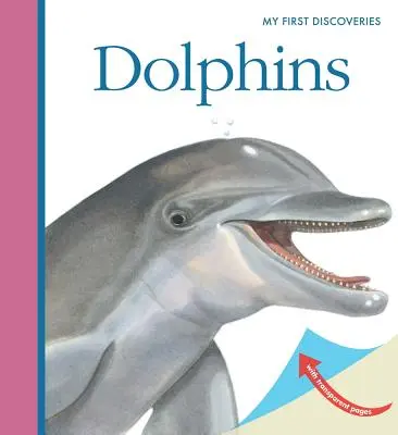 Les dauphins - Dolphins