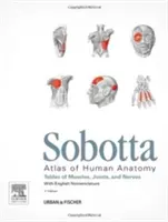 Sobotta Tables of Muscles, Joints and Nerves, English - Tables to 15th ed. of the Sobotta Atlas