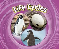 Cycles de vie - Life Cycles