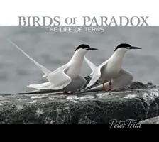 Les oiseaux du paradoxe : la vie des sternes - Birds of Paradox: The Life of Terns