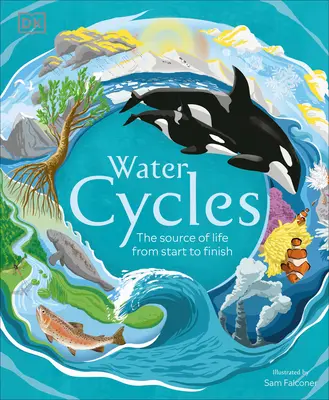 Les cycles de l'eau - Water Cycles