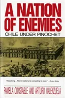 Une nation d'ennemis : Le Chili sous Pinochet - A Nation of Enemies: Chile Under Pinochet