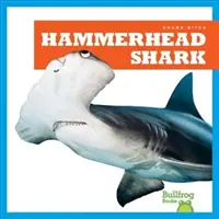 Requin marteau - Hammerhead Shark