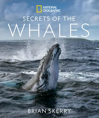 Les secrets des baleines - Secrets of the Whales