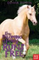 Le poney Palomino en liberté - Palomino Pony Runs Free