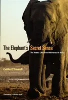 Le sens secret de l'éléphant : La vie cachée des troupeaux sauvages d'Afrique - The Elephant's Secret Sense: The Hidden Life of the Wild Herds of Africa