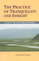 La pratique de la tranquillité et de la perspicacité : Guide de la méditation bouddhiste tibétaine - The Practice of Tranquillity and Insight: A Guide to Tibetan Buddhist Meditation