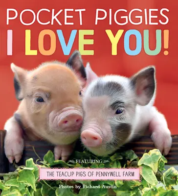 Pocket Piggies : Je t'aime ! - Pocket Piggies: I Love You!