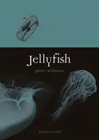 Méduses - Jellyfish