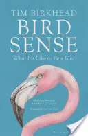 Bird Sense - Ce que c'est que d'être un oiseau - Bird Sense - What It's Like to Be a Bird