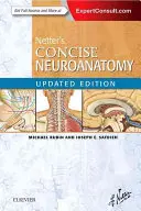 Netter's Concise Neuroanatomy Updated Edition (en anglais) - Netter's Concise Neuroanatomy Updated Edition