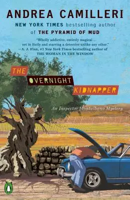 Le kidnappeur du jour au lendemain - The Overnight Kidnapper