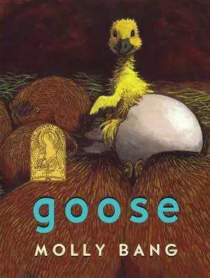 L'oie - Goose