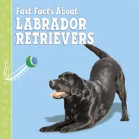 Faits marquants sur les labradors - Fast Facts About Labradors