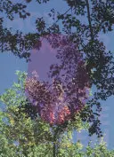 Viviane Sassen : Le miroir chaud - Viviane Sassen: Hot Mirror