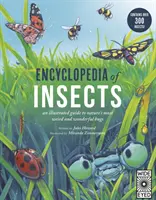 Encyclopédie des insectes - Encyclopedia of Insects