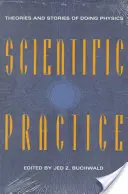 La pratique scientifique : Théories et histoires de la physique - Scientific Practice: Theories and Stories of Doing Physics