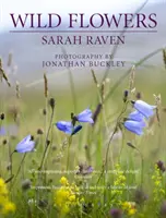 Les fleurs sauvages de Sarah Raven - Sarah Raven's Wild Flowers