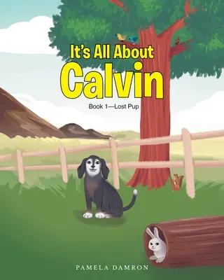 Tout sur Calvin : Livre 1 - Le chiot perdu - It's All About Calvin: Book 1-Lost Pup