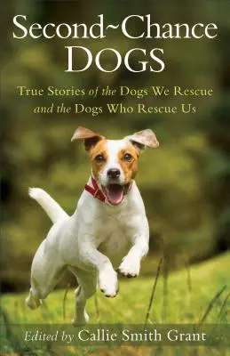 Chiens de la deuxième chance : histoires vraies des chiens que nous sauvons et de ceux qui nous sauvent - Second-Chance Dogs: True Stories of the Dogs We Rescue and the Dogs Who Rescue Us